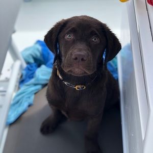 Meet your Posher, Courtney